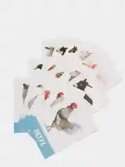 Синий обучающие карточки, 16 шт