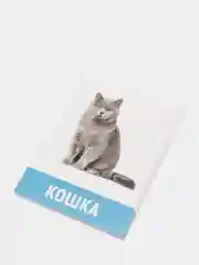 Синий обучающие карточки, 16 шт
