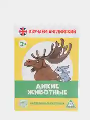 Лесной зеленый обучающие карточки, 16 шт