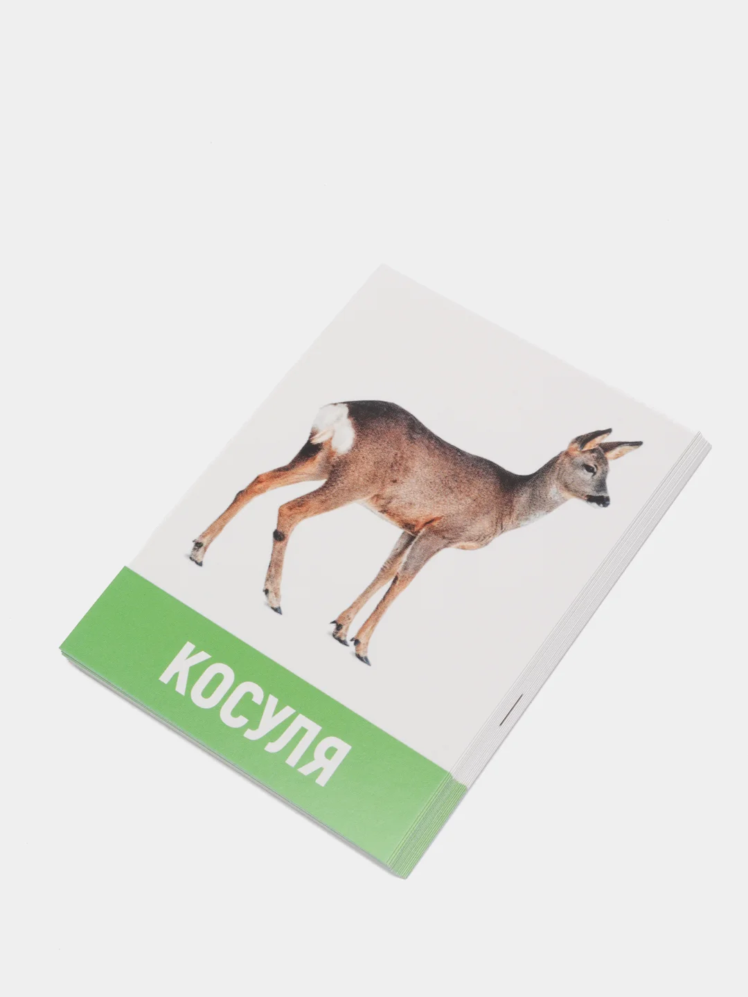 Лесной зеленый обучающие карточки, 16 шт