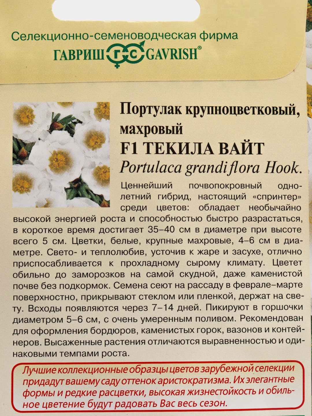 Портулак F1 Текилла Вайт семена