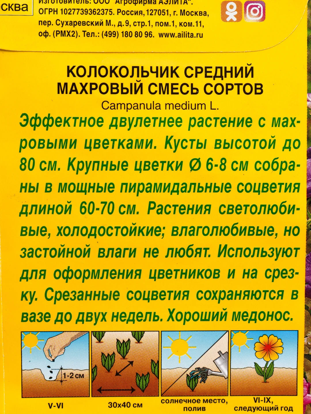 Семена Колокольчик Махровый смесь