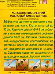 Семена Колокольчик Махровый смесь