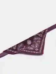 Фиолетовый ошейник бандана для собак и кошек