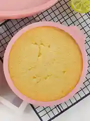 Мятный силиконовая форма для выпекания коржей