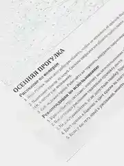 Картина  по номерам на холсте с подрамником "Пушистый мечтатель", 50x40 см