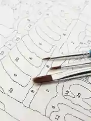 Картина  по номерам на холсте с подрамником 50x40 см "Восточная юность"