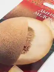 Семена "Дыня Медок"