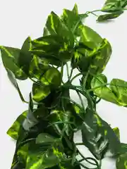 Мятный искусственные листья лианы, 2.1 метра