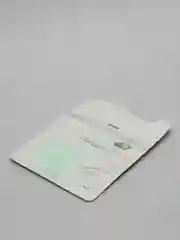 Альгинатная маска, успокаивающая, с алоэ, Anskin, саше, 25 гр