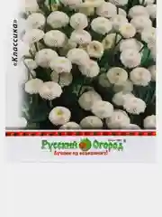Матрикария Снежный шар (семена)