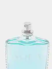 Туалетная вода мужская Absolute Aqua, 100 мл