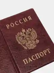 Багровый обложка на паспорт