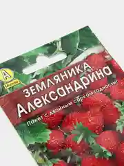 Земляника Александрина (семена)