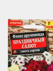 Семена цветов Флокс "Праздничный салют"