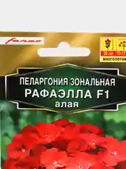 Пеларгония "Рафаэлла" алая (семена, цветы)