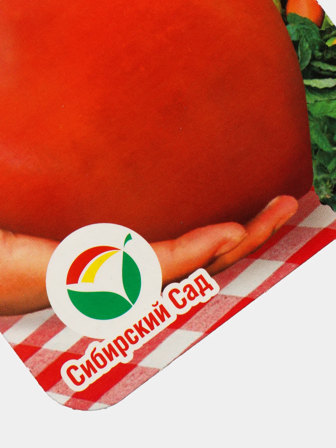 Семена "Томат Сибирский карлик"