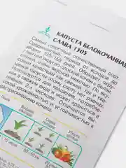 Капуста белокочанная СЛАВА 1305 0,5г / Евро - семена