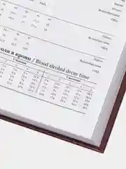 Ежедневник недатированный А5 (145х215 мм) BRAUBERG, обложка бумвинил, 160 л., бордовый, 126541