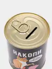Копилка