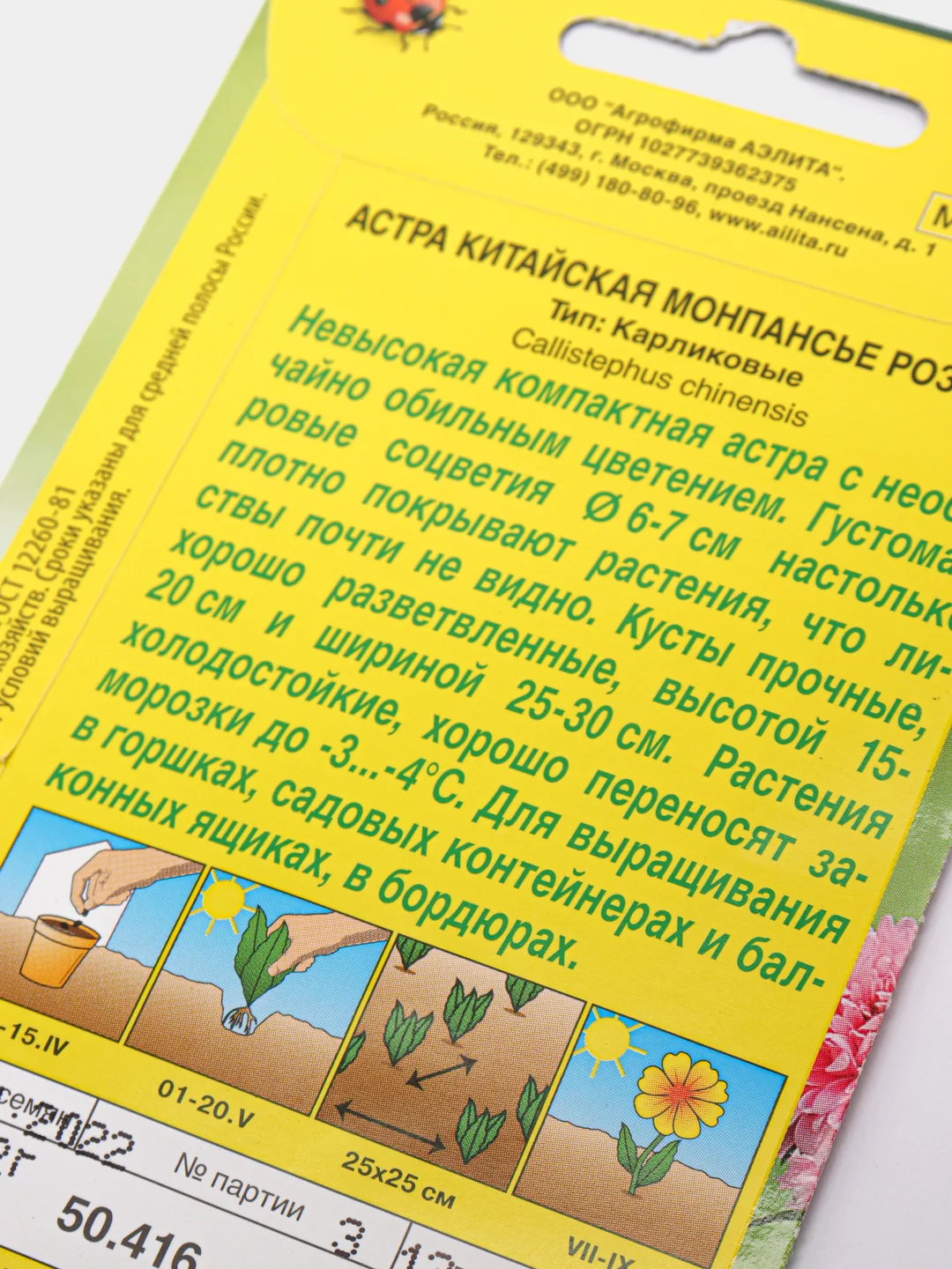 Астра Монпансье розовая
