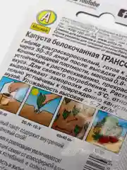 Капуста "Трансфер", семена