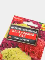 Целозия Коралловый сад (семена,цветы)