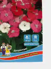Семена Гвоздика перистая смесь окрасок набор 1, 3, 5 уп