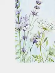 Салфетка сервировочная (плейсмат) "Lavende" 43*28см. (упаковочный пакет)
