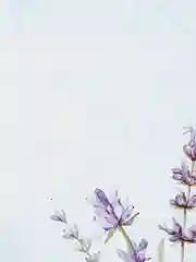 Салфетка сервировочная (плейсмат) "Lavende" 43*28см. (упаковочный пакет)