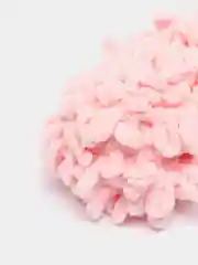 Конфетный пряжа петельками Alize Puffy, большие петельки
