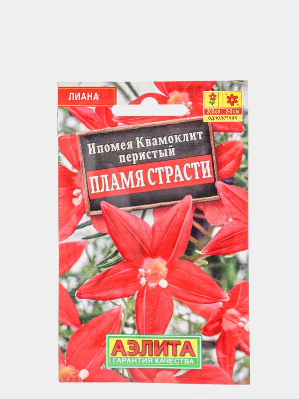 Ипомея Пламя страсти (семена,цветы)