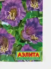 Кобея "Фиолетовая" (семена, цветы)