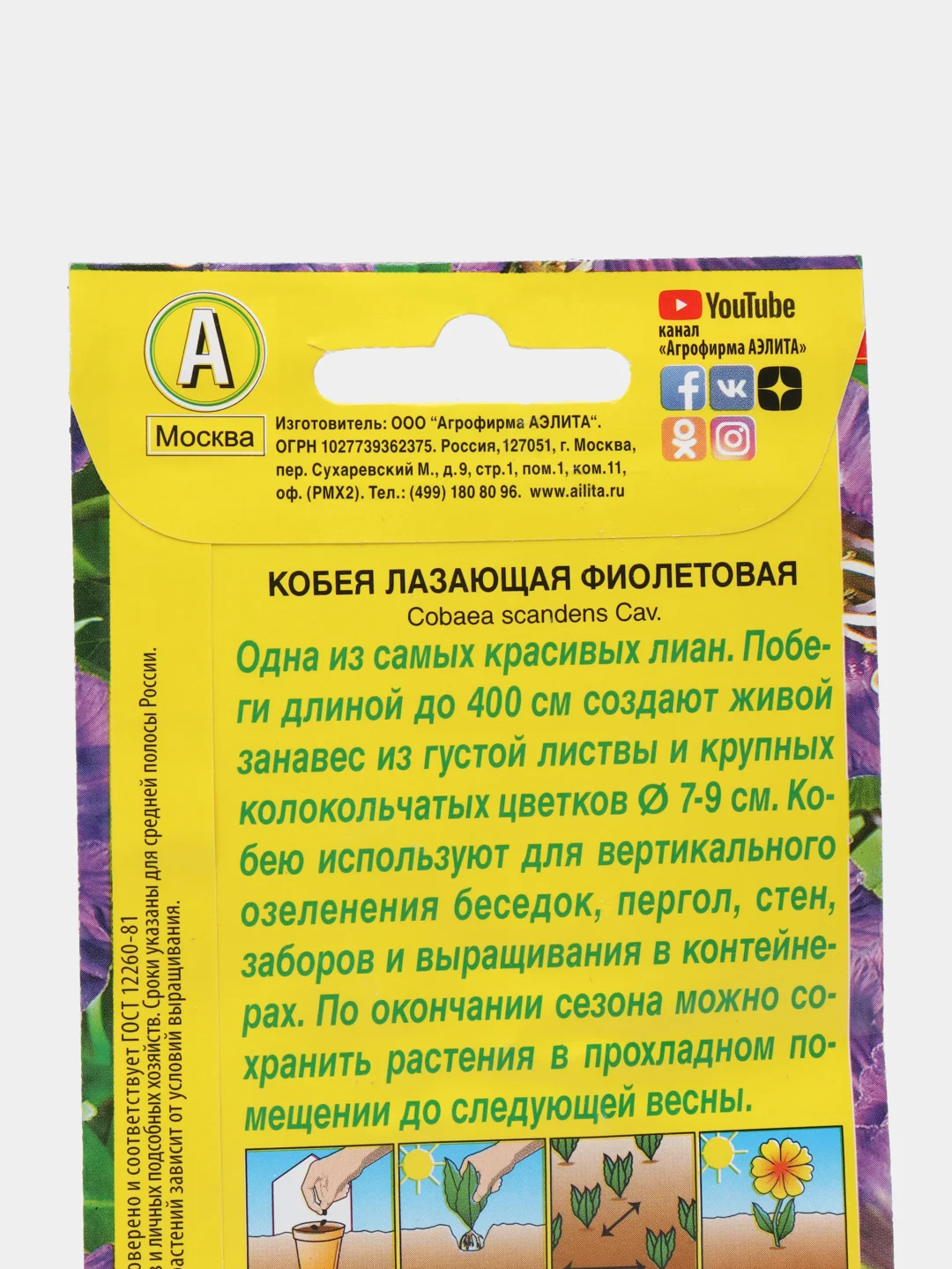 Кобея "Фиолетовая" (семена, цветы)
