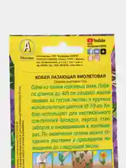 Кобея "Фиолетовая" (семена, цветы)