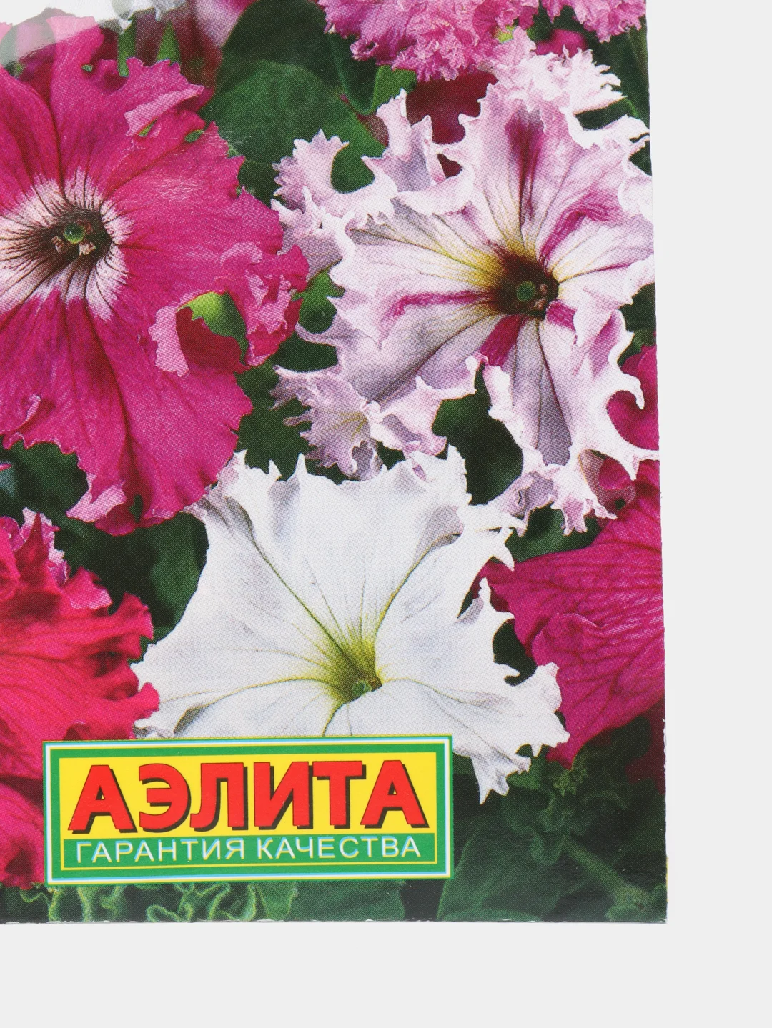 Петуния Примавера (семена,цветы)