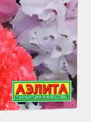 Петуния Валентинов день (семена,цветы)