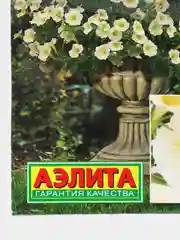 Петуния Минибелло лайм (семена,цветы)