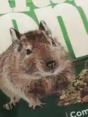 Little One Зеленая долина. Корм из разнотравья для дегу, 750г