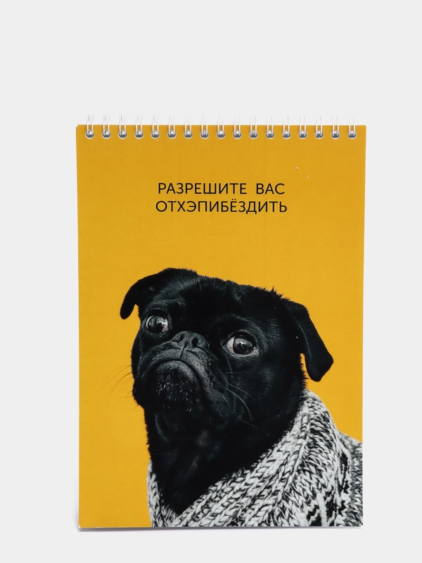 Блокнот "Разрешите вас отхэпибёздить", А5, 45 листов