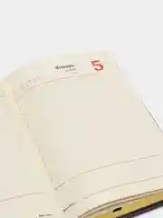 Ежедневник BRAUBERG полудатированный А5, 124985