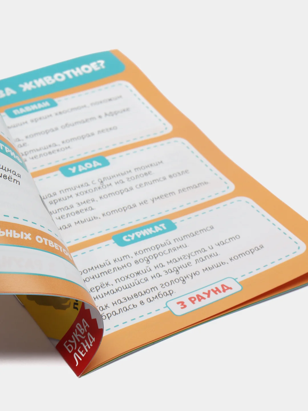 Детская книга IQ викторина. "Что это значит"
