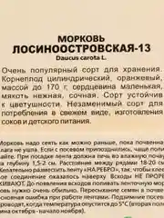 Морковь "Лосиноостровская-13", семена на ленте