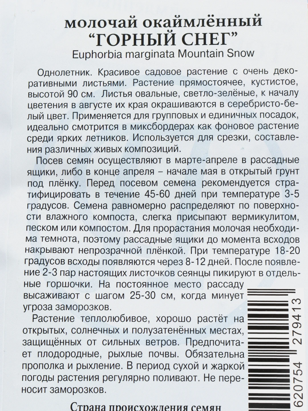 Семена цветы Молочай Горный снег