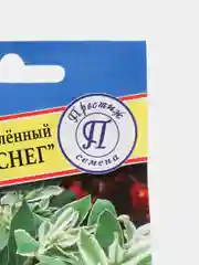 Семена цветы Молочай Горный снег