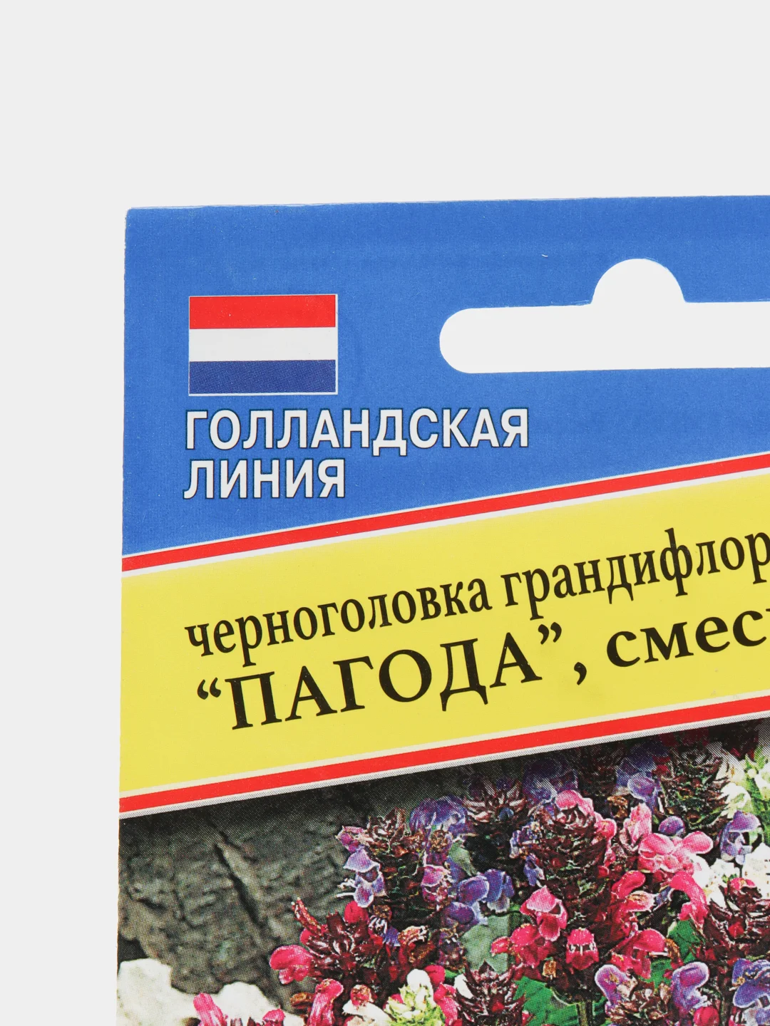 Семена цветы Черноголовка Пагода