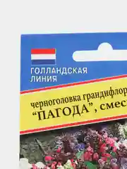 Семена цветы Черноголовка Пагода