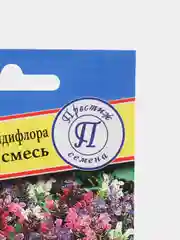 Семена цветы Черноголовка Пагода
