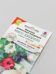 Нигелла Мисс Джекилл (семена,цветы)