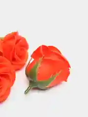 Алый розы из мыла